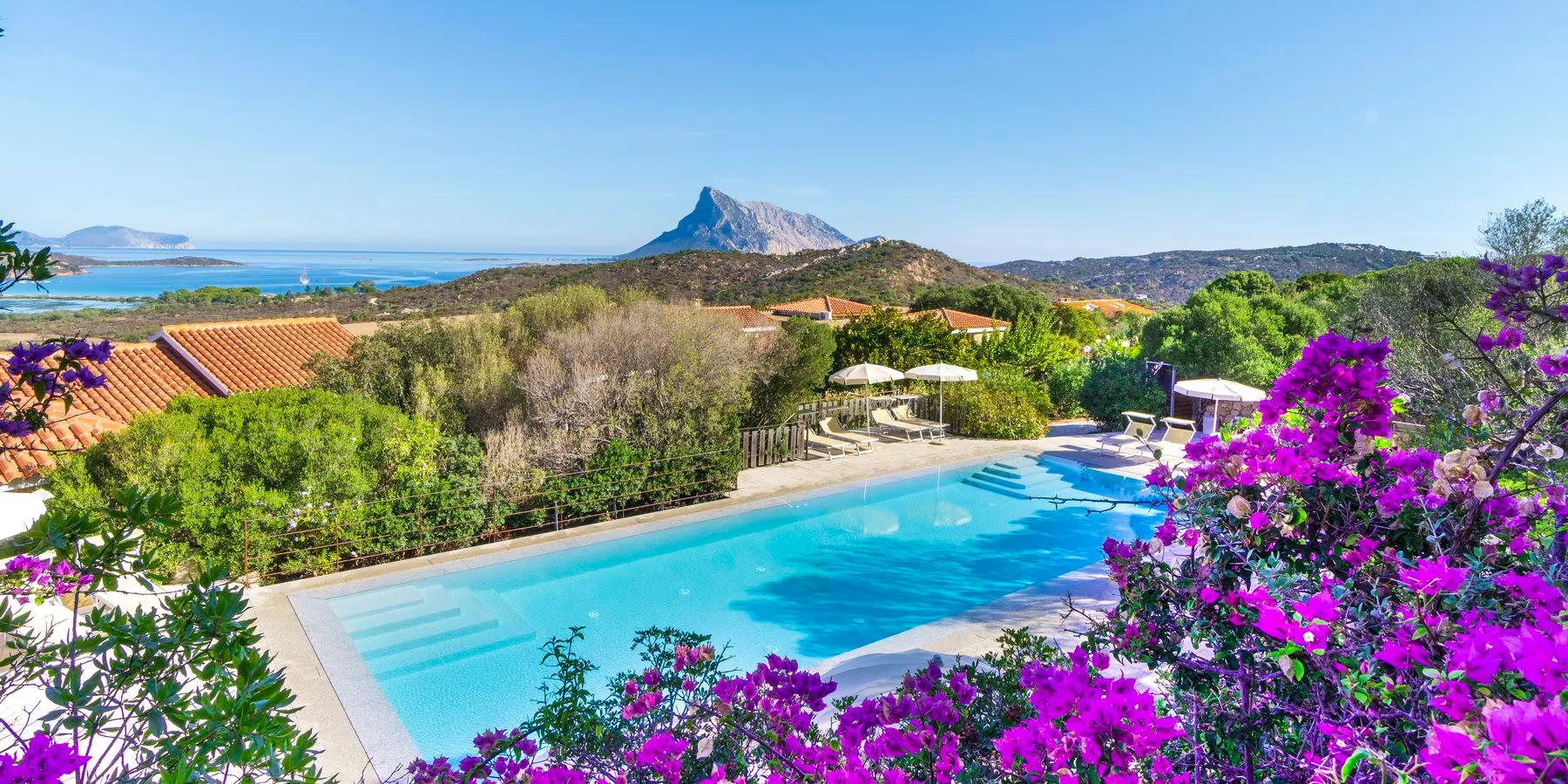 Panoramic pool of Lu Nibareddu with bougainvillea and Tavolara island behind