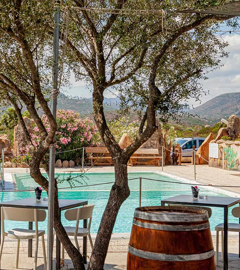 Tables of the pool bar under an olive tree beside the turquoise pool of the BBQ restaurant