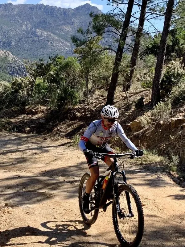 Mountain biker climbing a sunlit gravel road through the pine woods of Monte Nieddu