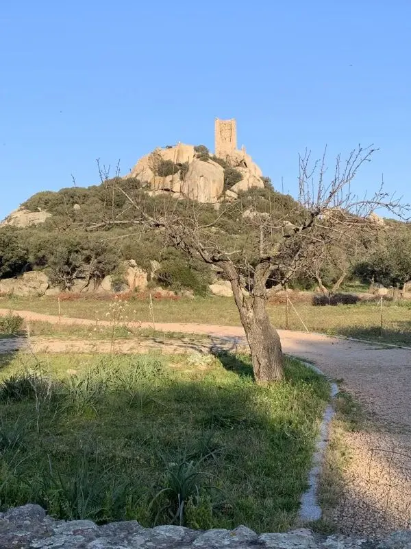 Ruined medieval tower of Pedres castle crowning a granite hill above olive trees