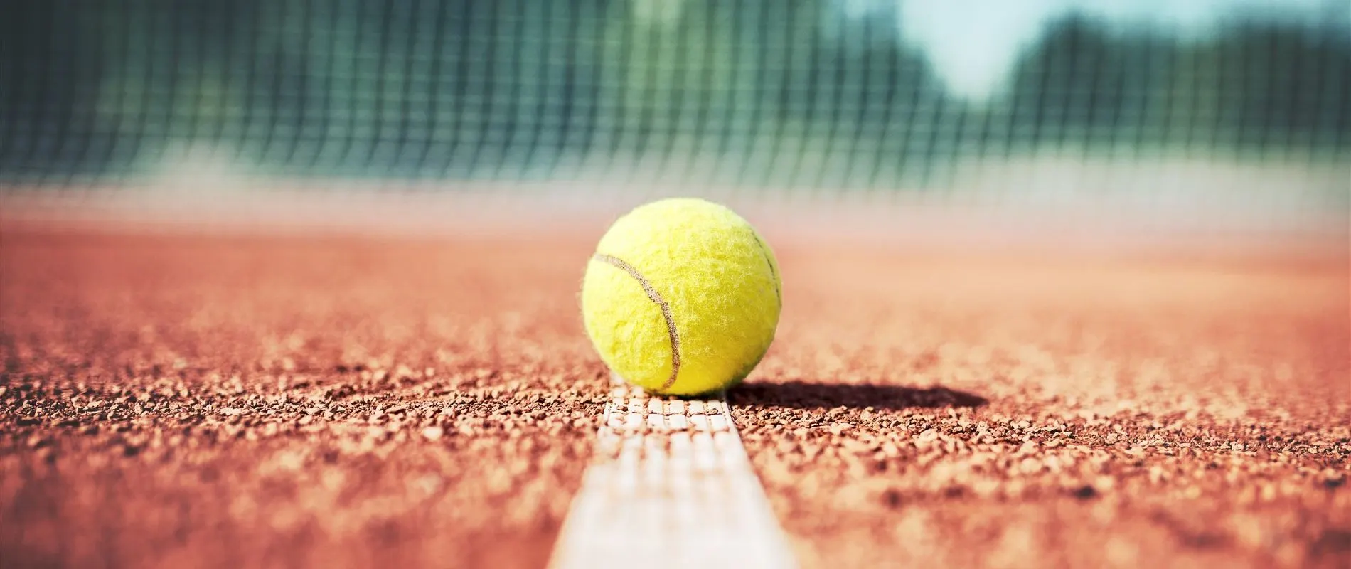Tennis ball resting on the line of a sunlit court in front of the net