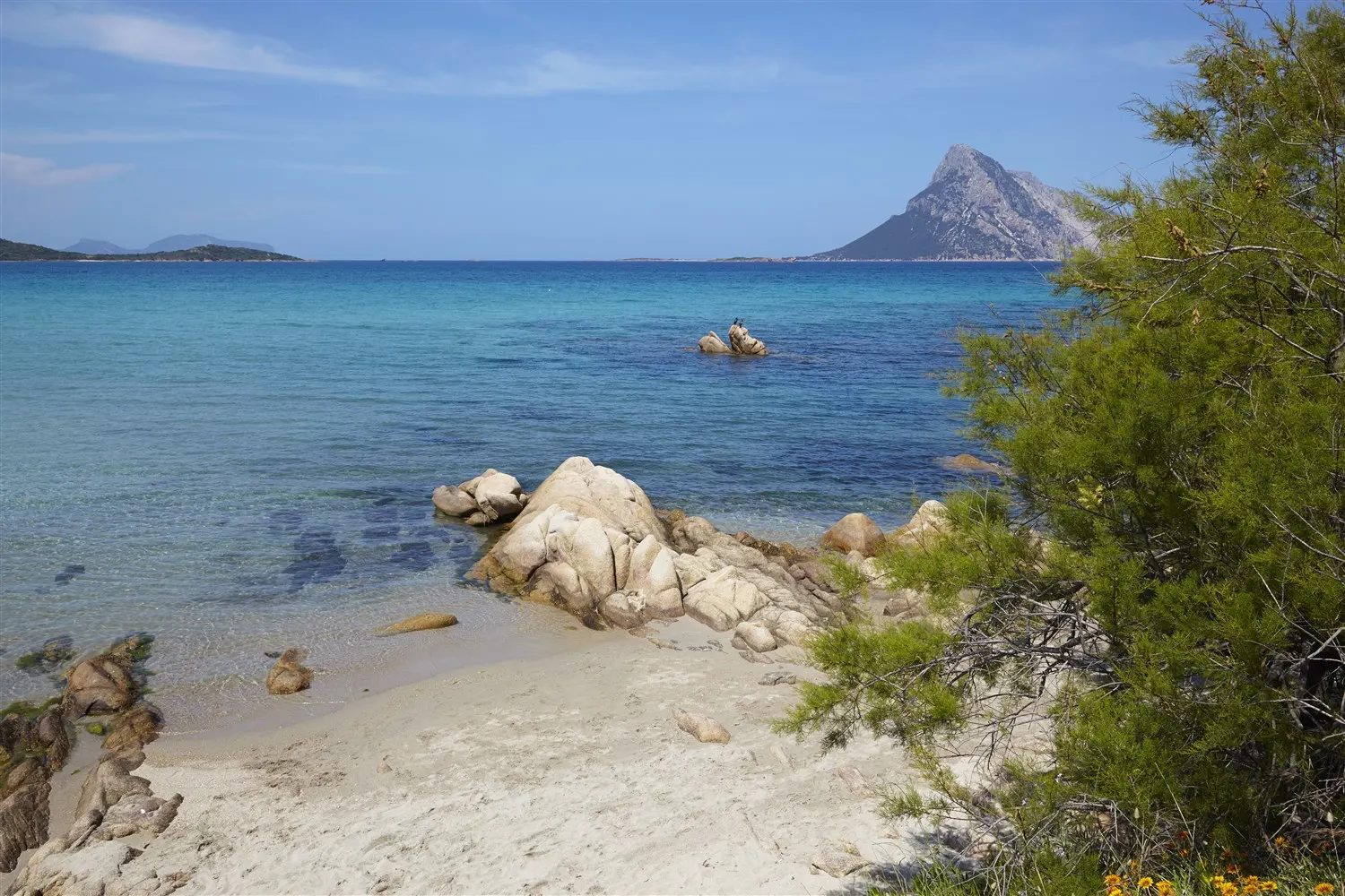 The shoreline of Porto Taverna on a summer day